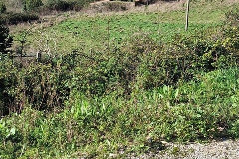 Helårsgrund i Alcobaca, Leiria, Alcobaca - € 65.000 | Ref: 826862 - foto 3