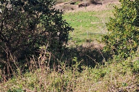 Helårsgrund i Alcobaca, Leiria, Alcobaca - € 65.000 | Ref: 826862 - foto 4