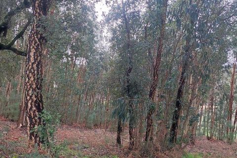 Terra a Moncao, Viana do Castelo, Moncao - € 56.500 | Ref: 794104 - foto 2
