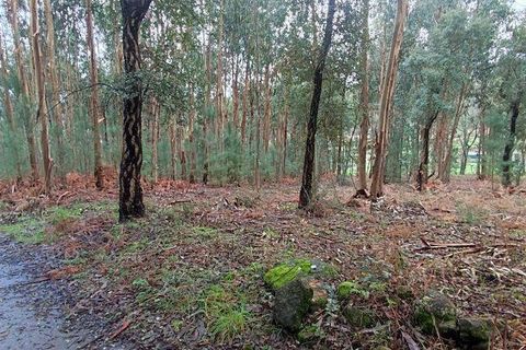 Terra a Moncao, Viana do Castelo, Moncao - € 56.500 | Ref: 794104 - foto 3