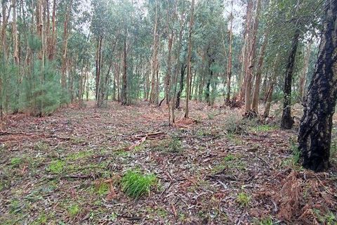 Terra a Moncao, Viana do Castelo, Moncao - € 56.500 | Ref: 794104 - foto 5
