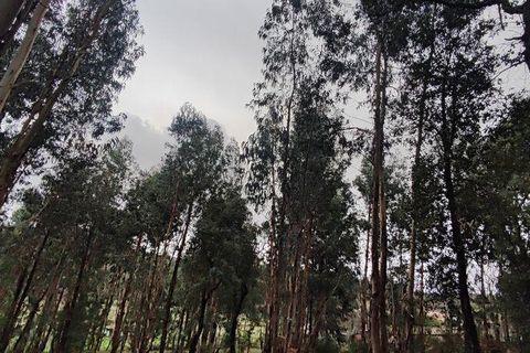 Terra a Moncao, Viana do Castelo, Moncao - € 56.500 | Ref: 794104 - foto 6