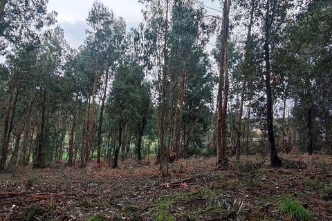 Terra a Moncao, Viana do Castelo, Moncao - € 56.500 | Ref: 794104 - foto 8