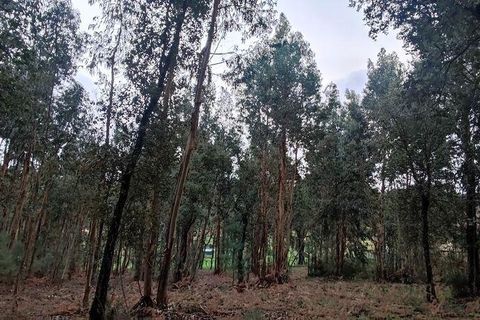 Terra a Moncao, Viana do Castelo, Moncao - € 56.500 | Ref: 794104 - foto 9