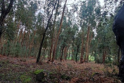 Terra a Moncao, Viana do Castelo, Moncao - € 56.500 | Ref: 794104 - foto 10