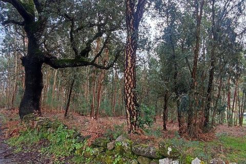 Terra a Moncao, Viana do Castelo, Moncao - € 56.500 | Ref: 794104 - foto 11