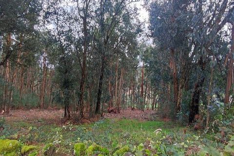 Terra a Moncao, Viana do Castelo, Moncao - € 56.500 | Ref: 794104 - foto 12