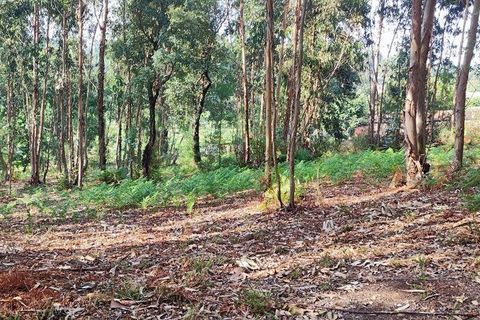 Terra a Moncao, Viana do Castelo, Moncao - € 56.500 | Ref: 794104 - foto 13
