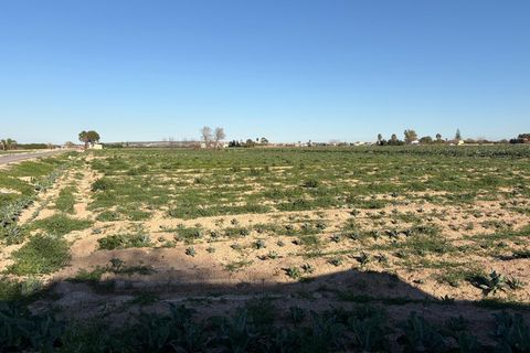 Landejendom i Dolores, Alicante, Dolores - € 109.900 | Ref: F126/3390 - foto 5