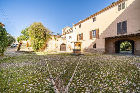 Erhvervsejendom i Inca, Mallorca, Inca - € 7.500.000 | Ref: 01TS089/3010 - foto 4