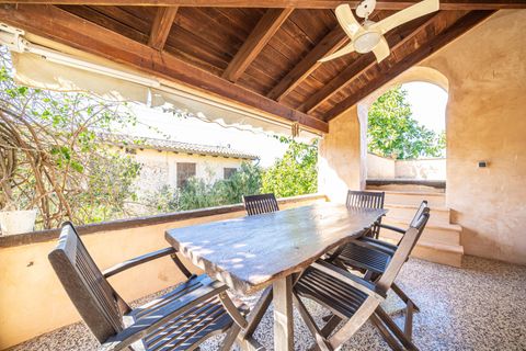 Erhvervsejendom i Inca, Mallorca, Inca - € 7.500.000 | Ref: 01TS089/3010 - foto 37