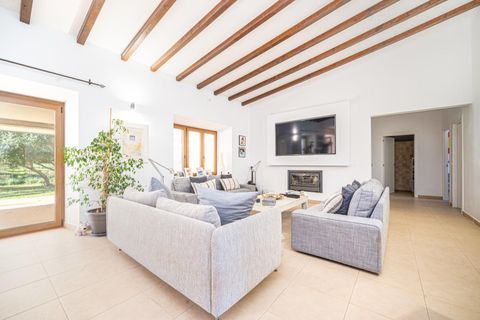 Erhvervsejendom i Inca, Mallorca, Inca - € 7.500.000 | Ref: 01TS089/3010 - foto 43