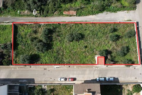 Terra a Muro, Mallorca, Muro - € 760.000 | Ref: 04SBAVDL362/3010 - foto 2