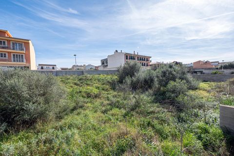 Terra a Muro, Mallorca, Muro - € 760.000 | Ref: 04SBAVDL362/3010 - foto 3
