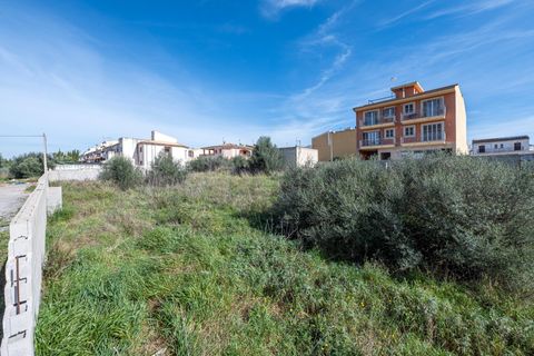 Terra a Muro, Mallorca, Muro - € 760.000 | Ref: 04SBAVDL362/3010 - foto 4