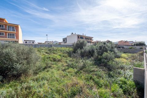 Terra a Muro, Mallorca, Muro - € 760.000 | Ref: 04SBAVDL362/3010 - foto 5