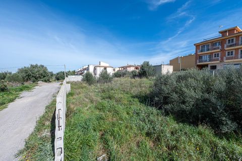 Terra a Muro, Mallorca, Muro - € 760.000 | Ref: 04SBAVDL362/3010 - foto 6