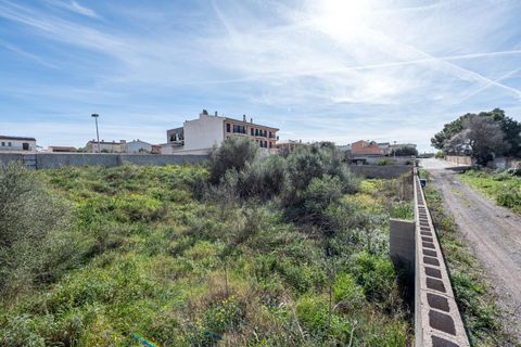 Terra a Muro, Mallorca, Muro - € 760.000 | Ref: 04SBAVDL362/3010 - foto 7
