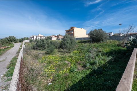 Terra a Muro, Mallorca, Muro - € 760.000 | Ref: 04SBAVDL362/3010 - foto 9