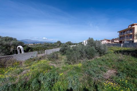 Terra a Muro, Mallorca, Muro - € 760.000 | Ref: 04SBAVDL362/3010 - foto 10