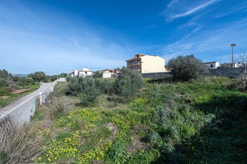 Terra a Muro, Mallorca, Muro - € 760.000 | Ref: 04SBAVDL362/3010 - foto 11