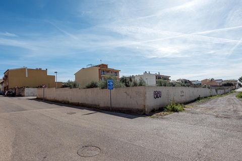 Terra a Muro, Mallorca, Muro - € 760.000 | Ref: 04SBAVDL362/3010 - foto 12
