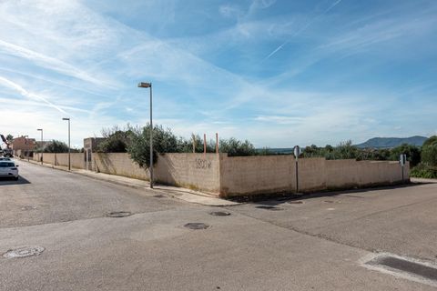 Terra a Muro, Mallorca, Muro - € 760.000 | Ref: 04SBAVDL362/3010 - foto 13