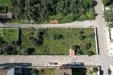 Terra a Muro, Mallorca, Muro - € 760.000 | Ref: 04SBAVDL362/3010 - foto 15