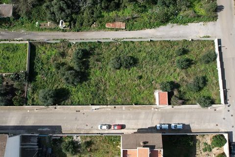 Terra a Muro, Mallorca, Muro - € 760.000 | Ref: 04SBAVDL362/3010 - foto 16