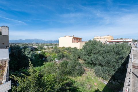 Terra a Muro, Mallorca, Muro - € 235.000 | Ref: 04SBAVDL363/3010 - foto 2