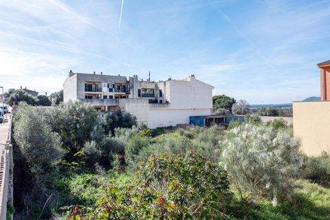 Terra a Muro, Mallorca, Muro - € 235.000 | Ref: 04SBAVDL363/3010 - foto 3