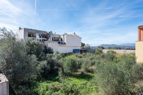 Terra a Muro, Mallorca, Muro - € 235.000 | Ref: 04SBAVDL363/3010 - foto 5