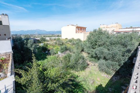 Terra a Muro, Mallorca, Muro - € 235.000 | Ref: 04SBAVDL363/3010 - foto 7