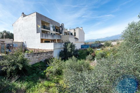 Terra a Muro, Mallorca, Muro - € 235.000 | Ref: 04SBAVDL363/3010 - foto 8