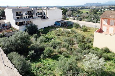 Terra a Muro, Mallorca, Muro - € 235.000 | Ref: 04SBAVDL363/3010 - foto 10