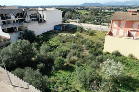 Terra a Muro, Mallorca, Muro - € 235.000 | Ref: 04SBAVDL363/3010 - foto 11
