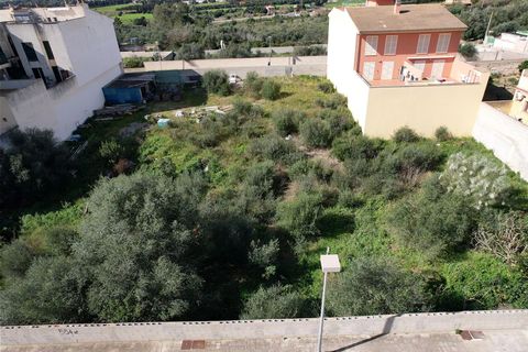 Terra a Muro, Mallorca, Muro - € 235.000 | Ref: 04SBAVDL363/3010 - foto 12