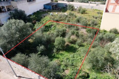 Terra a Muro, Mallorca, Muro - € 235.000 | Ref: 04SBAVDL363/3010 - foto 14