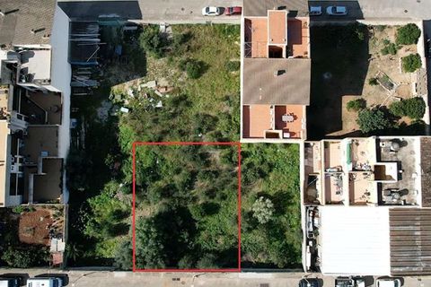 Terra a Muro, Mallorca, Muro - € 235.000 | Ref: 04SBAVDL363/3010 - foto 15