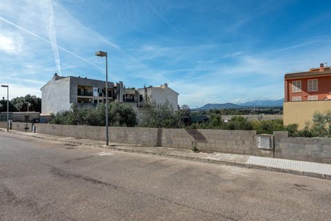 Terra a Muro, Mallorca, Muro - € 129.900 | Ref: 04SBAVDL364/3010 - foto 2