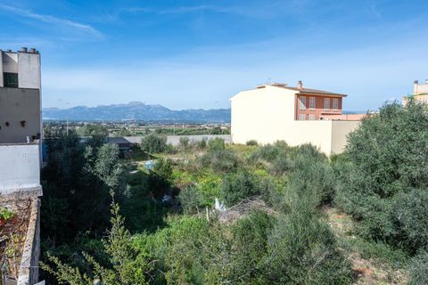 Terra a Muro, Mallorca, Muro - € 129.900 | Ref: 04SBAVDL364/3010 - foto 4