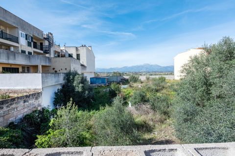 Terra a Muro, Mallorca, Muro - € 129.900 | Ref: 04SBAVDL364/3010 - foto 6