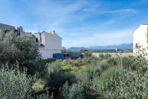 Terra a Muro, Mallorca, Muro - € 129.900 | Ref: 04SBAVDL364/3010 - foto 7