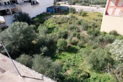 Terra a Muro, Mallorca, Muro - € 129.900 | Ref: 04SBAVDL364/3010 - foto 10