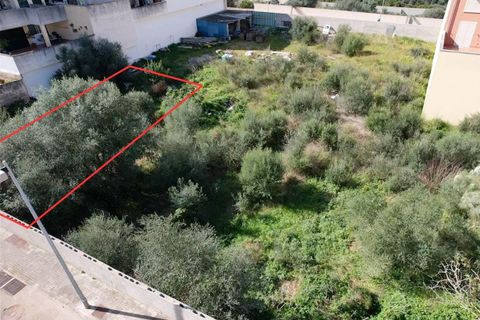 Terra a Muro, Mallorca, Muro - € 129.900 | Ref: 04SBAVDL364/3010 - foto 11