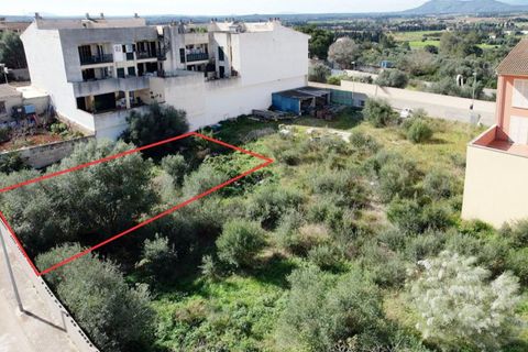 Terra a Muro, Mallorca, Muro - € 129.900 | Ref: 04SBAVDL364/3010 - foto 12