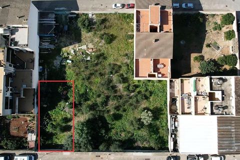 Terra a Muro, Mallorca, Muro - € 129.900 | Ref: 04SBAVDL364/3010 - foto 13