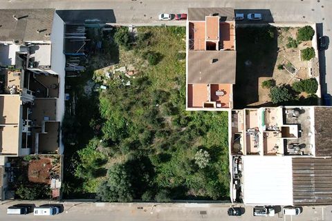 Terra a Muro, Mallorca, Muro - € 129.900 | Ref: 04SBAVDL364/3010 - foto 14