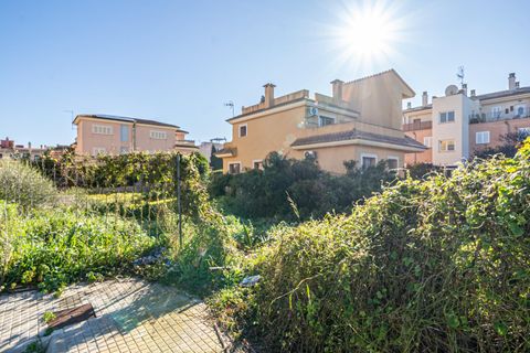 Helårsgrund i Llucmajor, Mallorca, Llucmajor - € 318.000 | Ref: 07RG001MO/3010 - foto 14