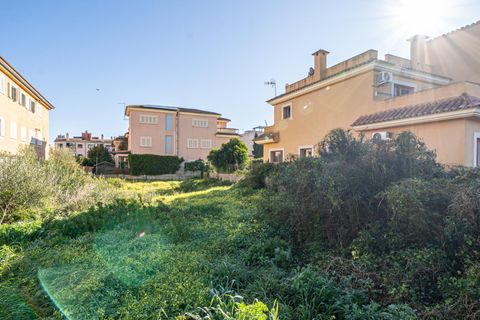 Helårsgrund i Llucmajor, Mallorca, Llucmajor - € 318.000 | Ref: 07RG001MO/3010 - foto 15